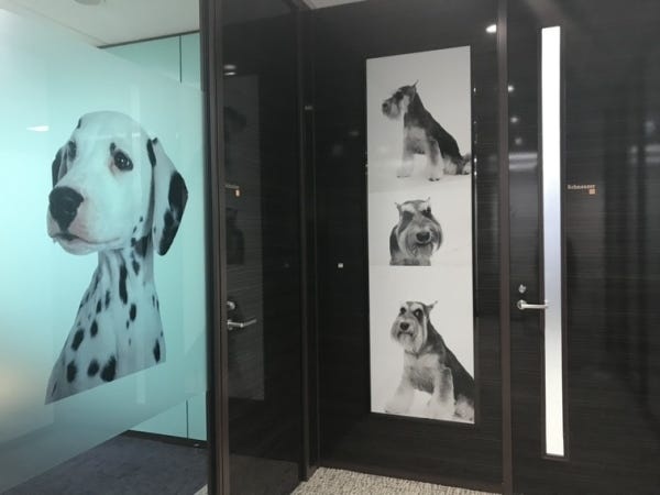 会議室には全てペットの写真と名前が付いています♪