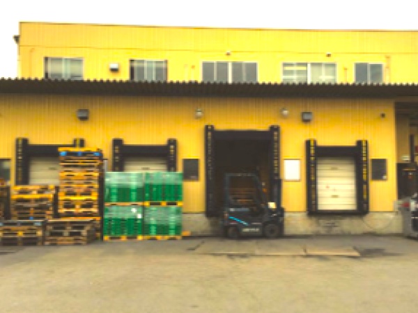 青果加工・パック詰めスタッフ募集！未経験者歓迎