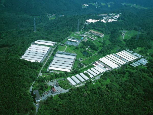 勤務する梨木牧場です。