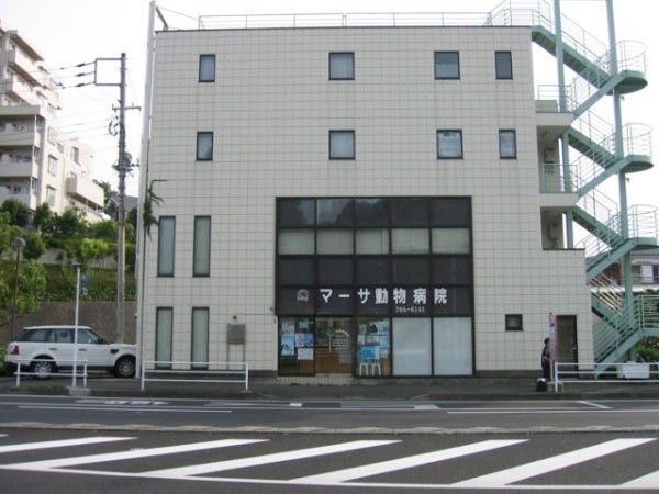 動物診療助手・転職・離職してしまった獣医師