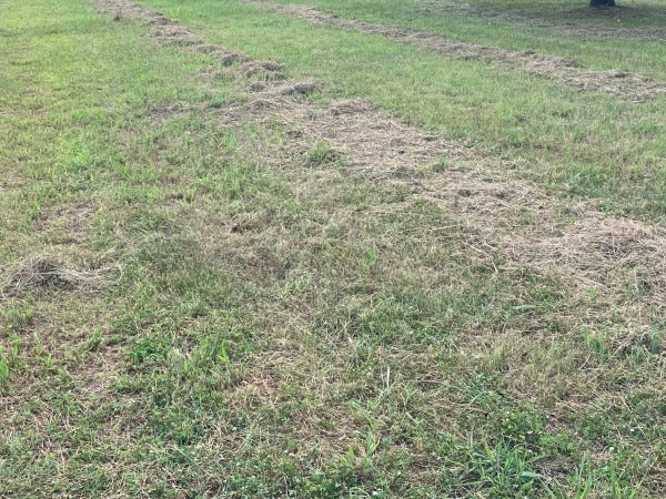 緑地管理作業の風景です。主に草刈を行い空き地や広い敷地の管理を行います。