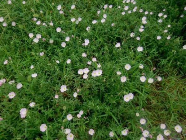 エクステリアプランナー/管理スタッフ（未経験可）東京都世田谷区