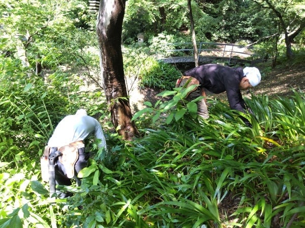 鎌倉の寺社・文化財庭園を手がける造園師｜未経験歓迎