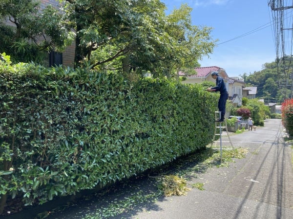 鎌倉の寺社・文化財庭園を手がける造園師｜未経験歓迎