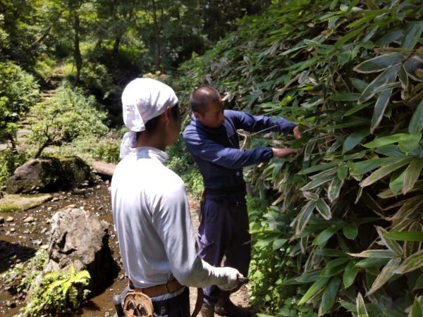 鎌倉の寺社・文化財庭園を手がける造園師｜未経験歓迎