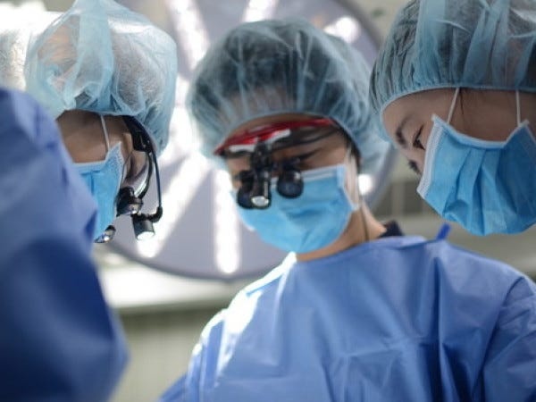 動物病院の動物看護師募集！犬猫の診療補助