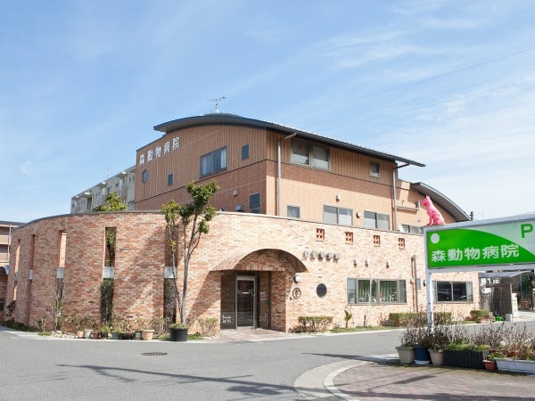 動物病院の動物看護師募集！犬猫の診療補助