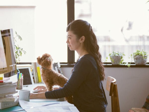 営業事務（未経験歓迎・新宿勤務）