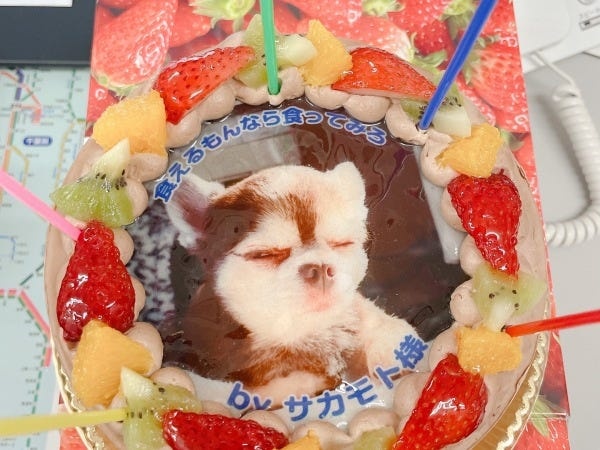 社員の愛犬をケーキにプリントしてサプライズ♪
