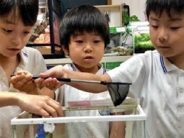 インターナショナルスクール受付スタッフ（PCスキル必須）