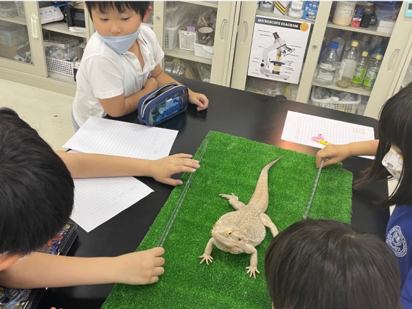 インターナショナルスクール受付スタッフ（PCスキル必須）