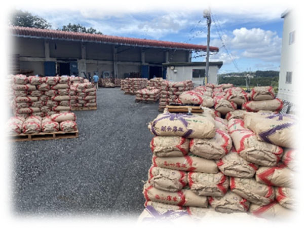 米麦青果販売担当・販売担当