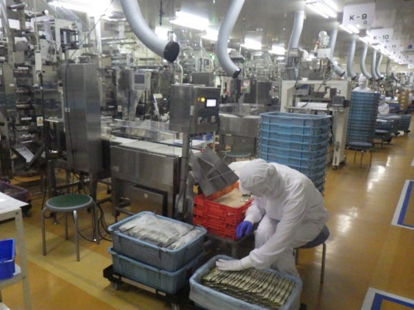 機械で製品がどんどん作られてくるので、カゴに並べていただきます。