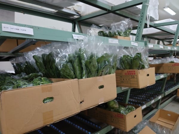 ピッキングのために準備された野菜。手入れでの個別ピッキングされます。