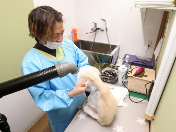 トリマー（経験者募集）動物病院でのトリミング業務