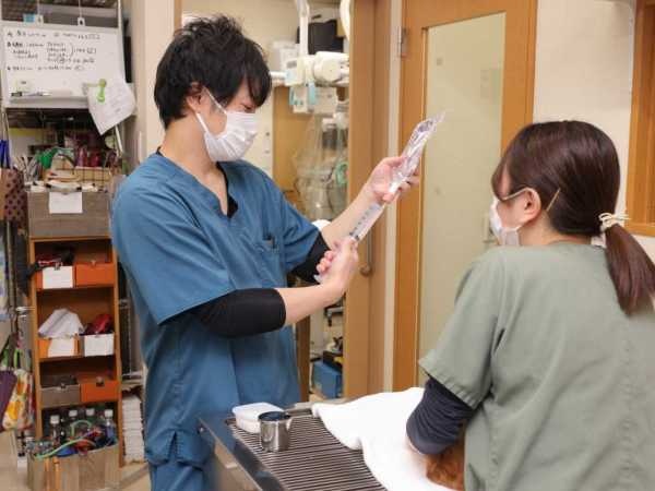 トリマー（経験者募集）動物病院でのトリミング業務