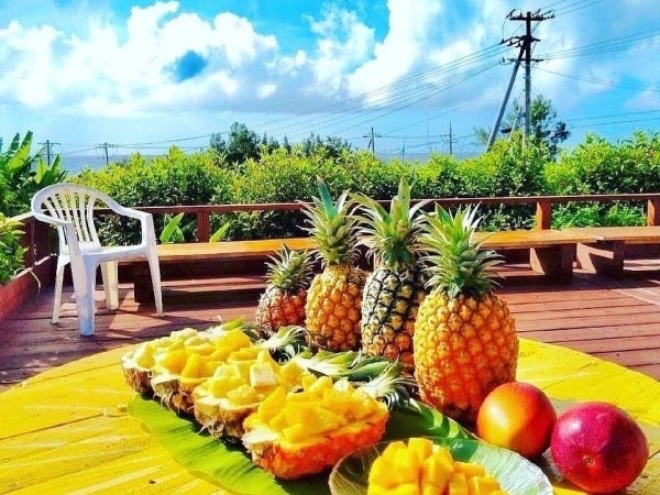 スタッフはパイナップル＆マンゴーが食べ放題！農家の特権ですね！
