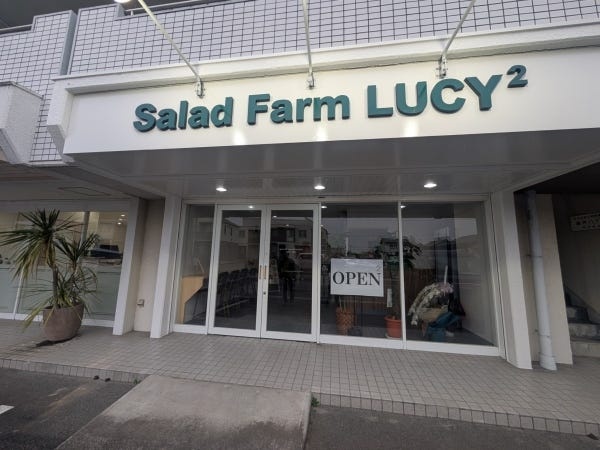 サラダの提供・販売スタッフ募集！未経験者歓迎