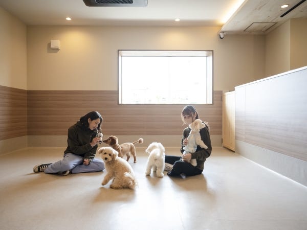 トリマー募集｜経験者歓迎｜地域密着型のワンちゃん複合施設