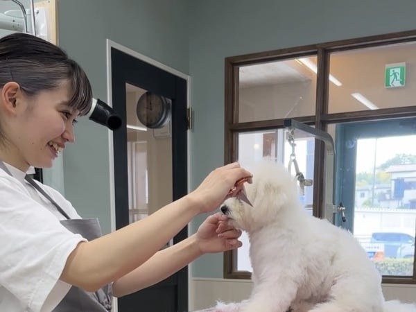 トリマー募集｜経験者歓迎｜地域密着型のワンちゃん複合施設