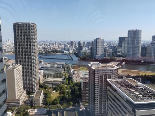 オフィスのある31階からの景色です