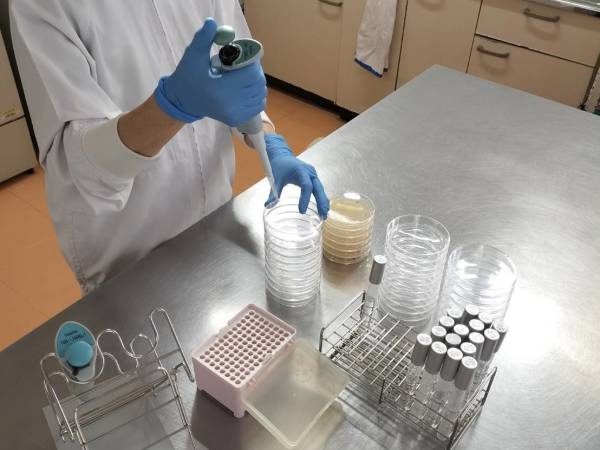 勤務していただくお仕事の一例です。入社後携わっていただくことになると思います。