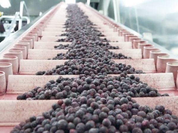 食品製造スタッフ募集｜未経験歓迎｜賞与年2回｜栃木県佐野市