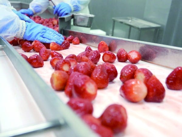 フルーツの選別