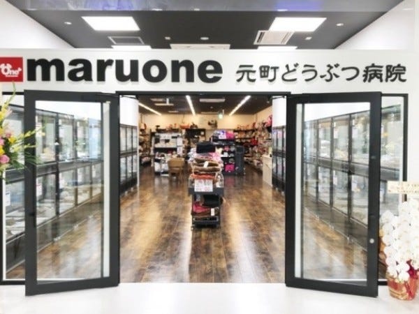 トリマー・チーフ候補募集｜経験者歓迎｜ペットのトリミング・ホテル業務