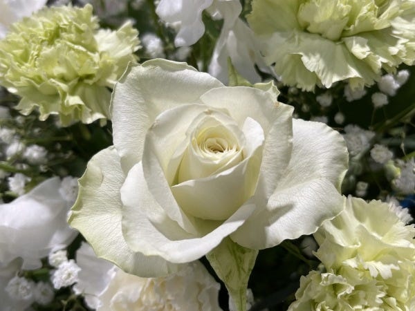 未経験歓迎！セレモニー会場の生花設営スタッフ（AT限定可）