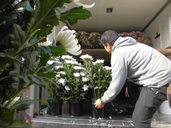 未経験歓迎！セレモニー会場の生花設営スタッフ（AT限定可）