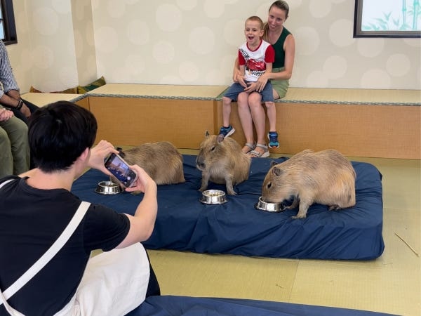 お客様との英語でのコミュニケーションが必須となります！（留学経験や英語に自信のある大学生も活躍中）