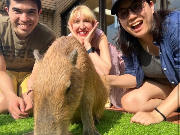 お客様のほとんどは海外からの旅行者となります！