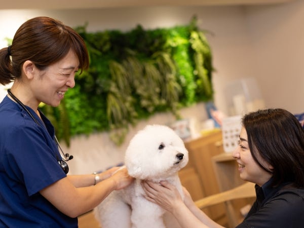 医療と美容のトータルサポートを行っています。
