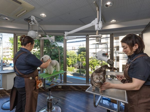 キレイなトリミングサロンで一緒に働きませんか？