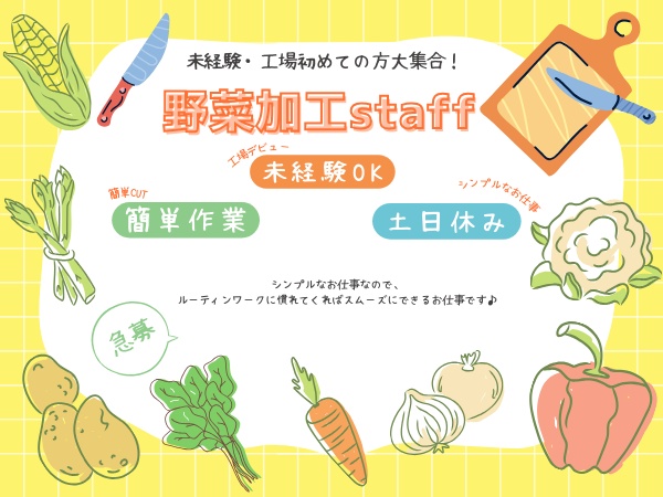 野菜の加工製造の製造スタッフ・ルーティンワークで簡単