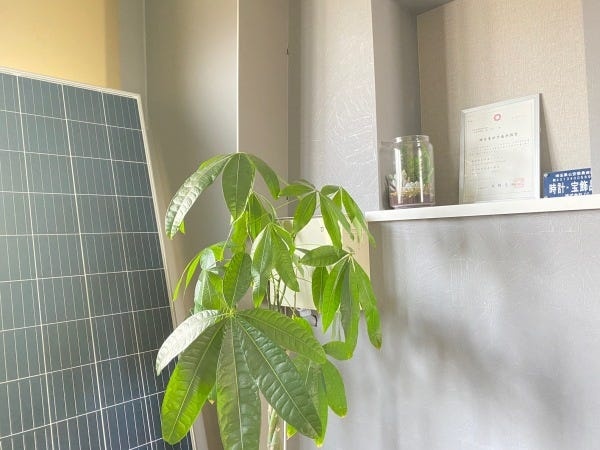 ECサイトのECサイト運営スタッフ