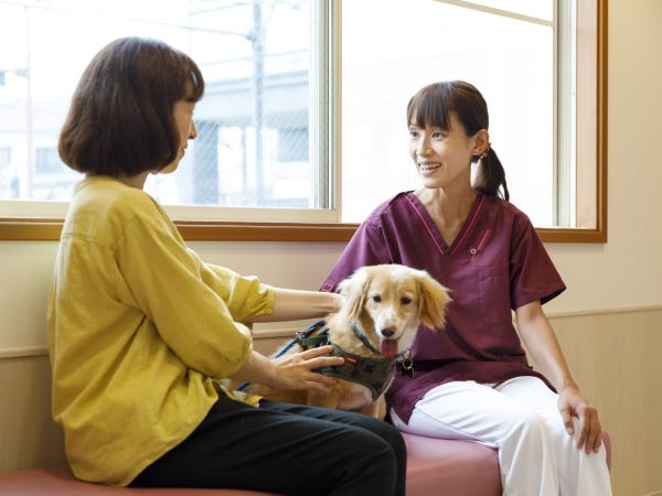動物看護師（愛玩動物看護師）募集｜経験者歓迎
