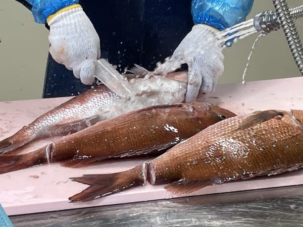 活躍しているスタッフのほとんどが未経験スタートです