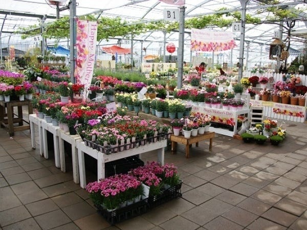 農園の受付スタッフ（農マル園芸吉備路農園）