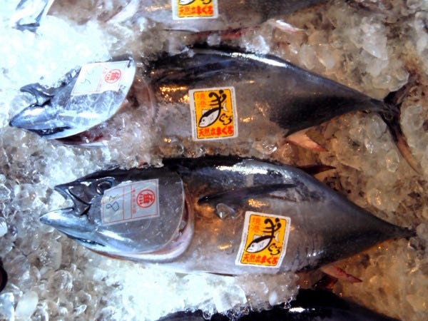 加工スタッフの丁寧な仕事が、魚の価値を高めます。目に見えないところで手をかけるからこそ、「また頼みたい」と思ってもらえる商品になるのです。