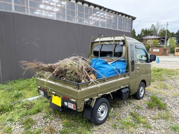 清掃スタッフ・清掃員（週払い相談OK・学歴不問）
