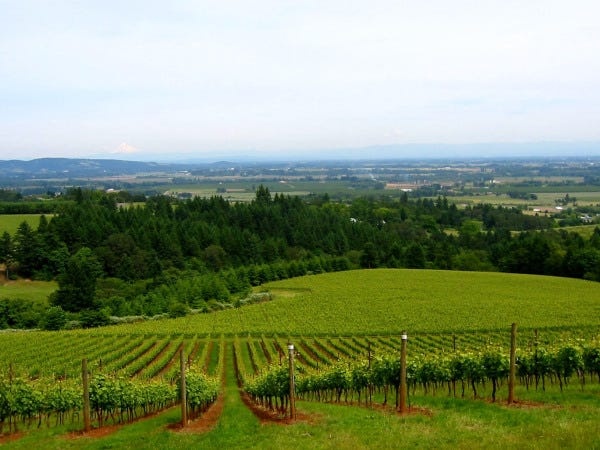 アメリカワイン専門商社の営業職（アシスタントセールスマネージャー）