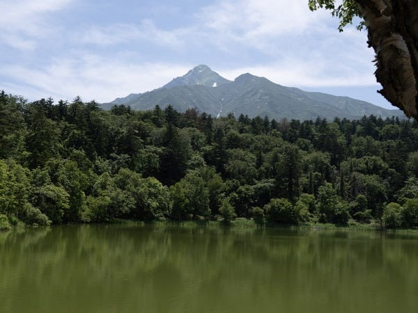 清掃維持スタッフ（大型自動車免許）