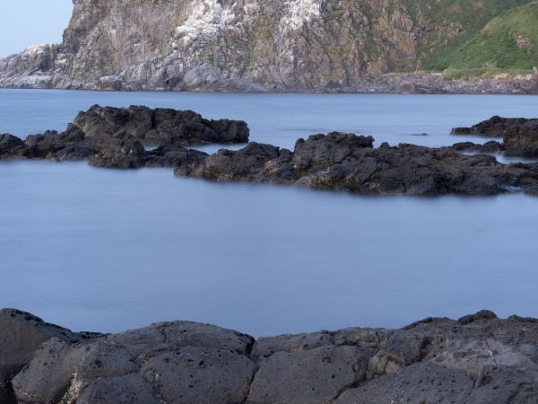清掃維持スタッフ（大型自動車免許）