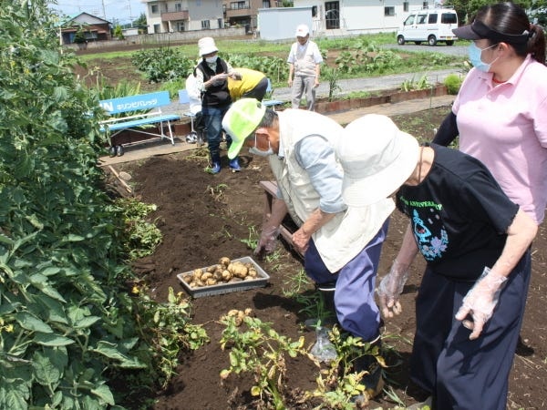 時には機能訓練として、ご利用者様と一緒に野菜の植付けや収穫を行います。