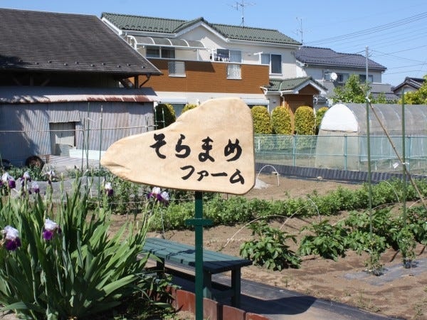 施設の目の前は畑になっており、毎朝新鮮な野菜を収穫して昼食に活用して頂きます。