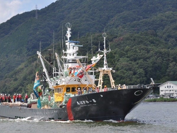 沿岸を中心に操業しているため、遠洋漁業のような長期沖泊まりはありません。定期的に港に戻れるので、家族や自分の時間も大切にしながら働けます。