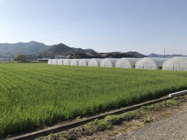 屋内農作業員（普通運転免許）