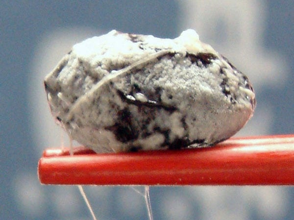 商品管理スタッフ（未経験歓迎）/ 出荷・在庫管理業務